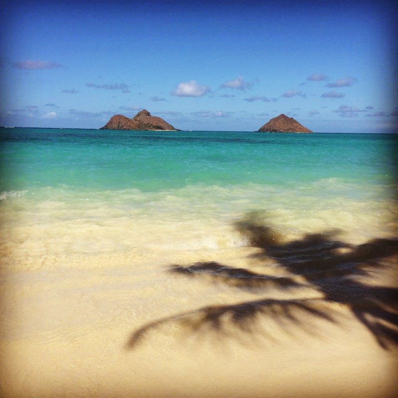 2015-08-03 15.30.58-1