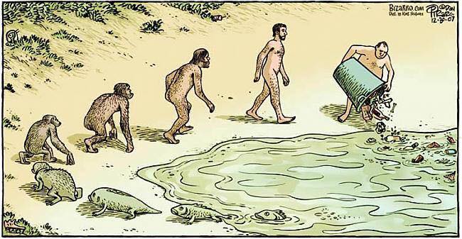 10978512_1543127242629424_1926867971704345088_n