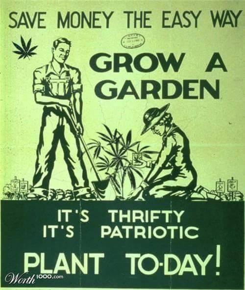 1970725_408850709271090_1896969062384597802_n