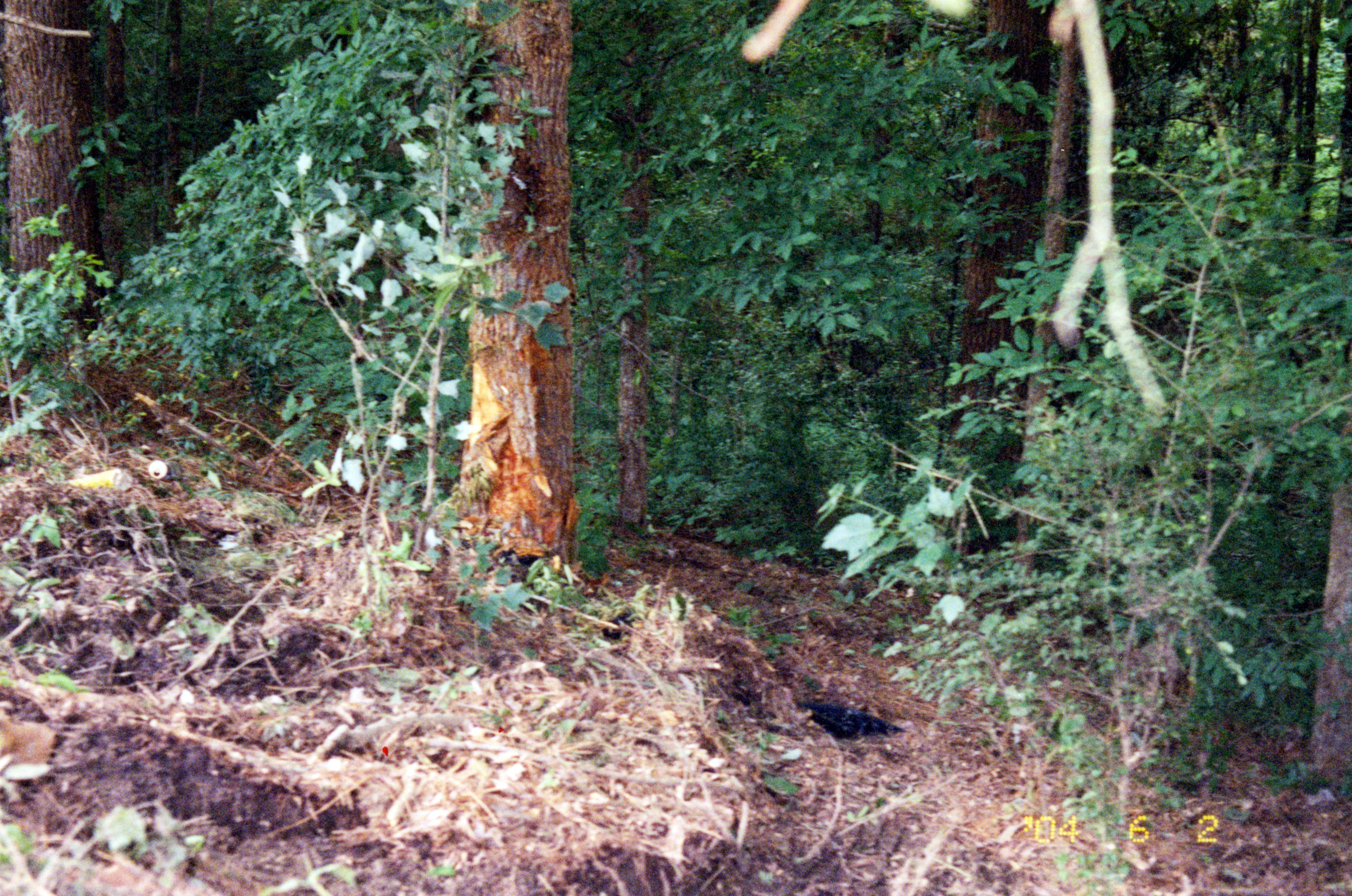 3755244038_a13320b372_o