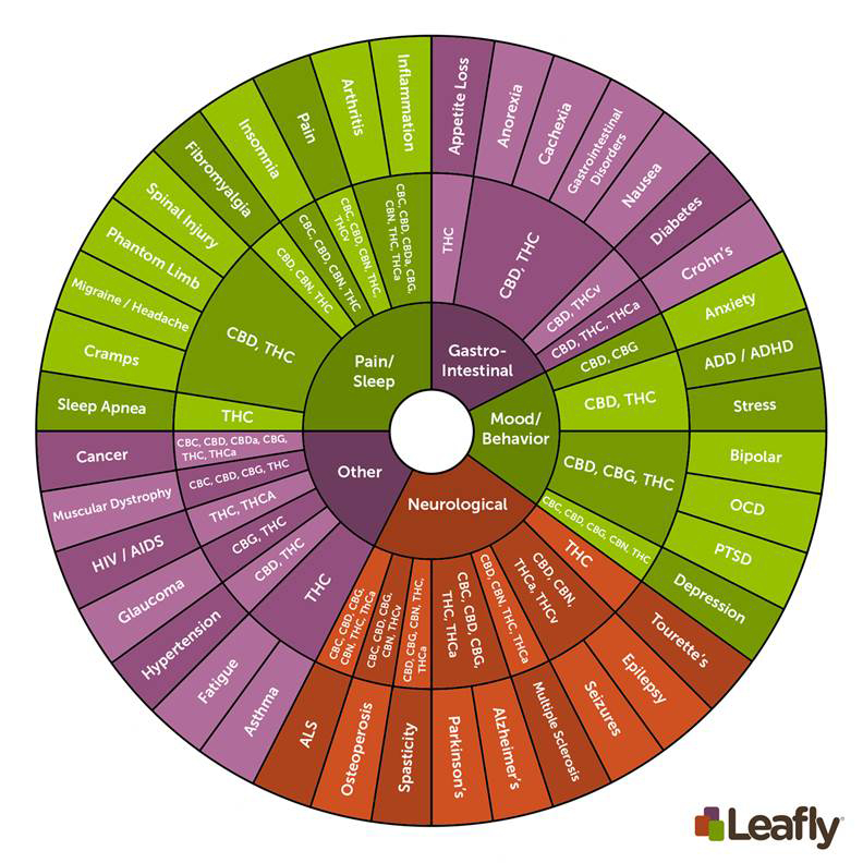 0kdqdunqr0gcxcmdfgbs_leafly-cannabinoid-wheel-large