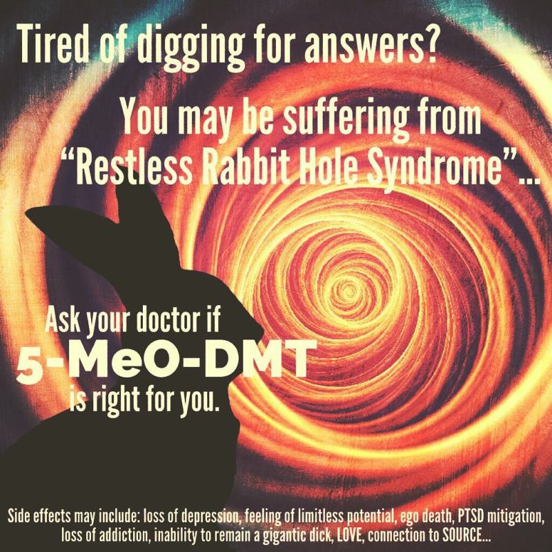 25023851_175355483062989_3746698030422687744_n